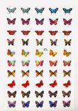 Holographic butterfly